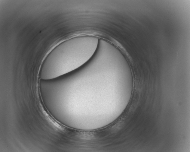 X0000081500802200701121137
