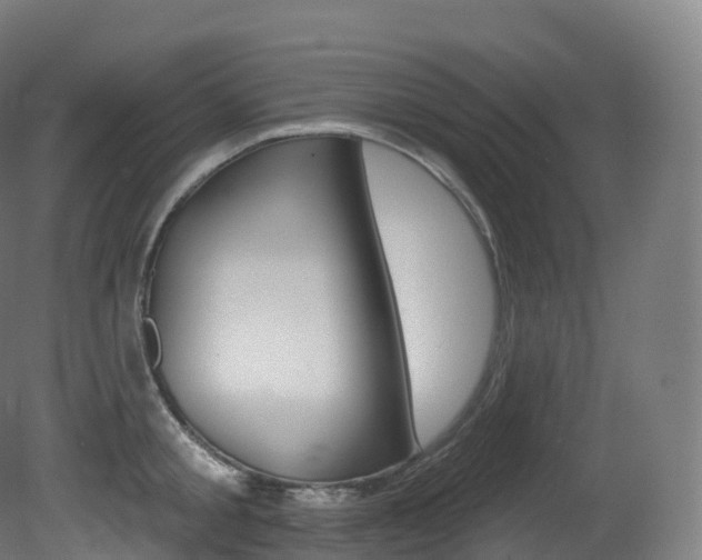 X0000081500805200701121137