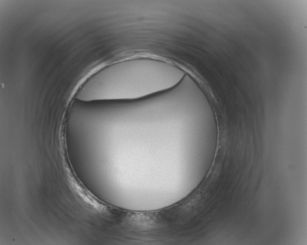 X0000081500806200701121137