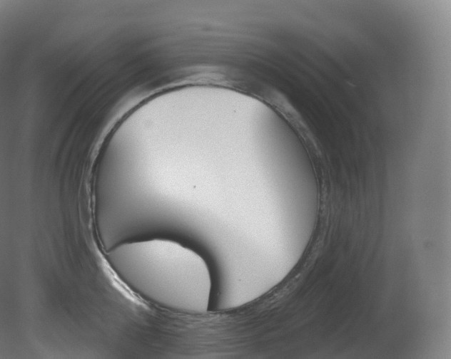 X0000081500808200701121137