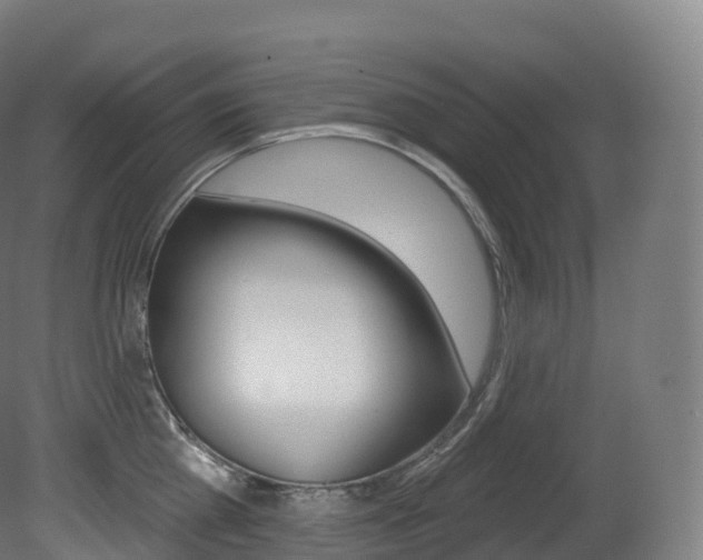 X0000081500809200701121137
