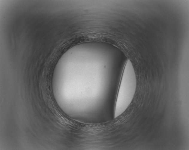 X0000081500817200701121136