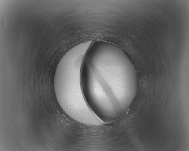 X0000081500818200701121136
