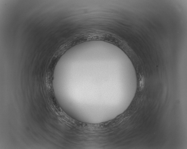 X0000081500819200701121136