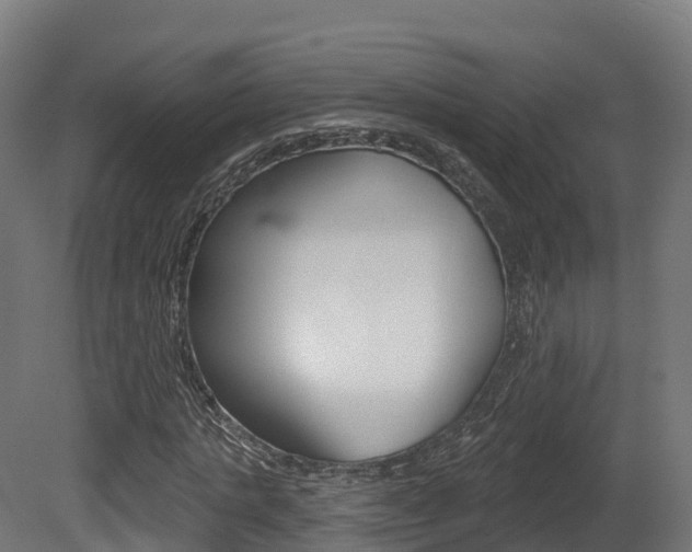 X0000081500821200701121136