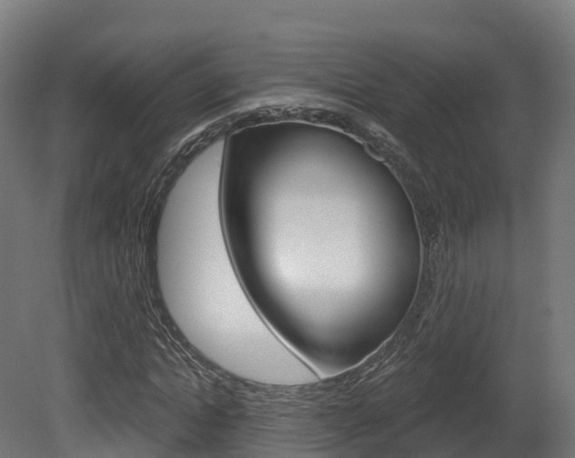 X0000081500822200701121136