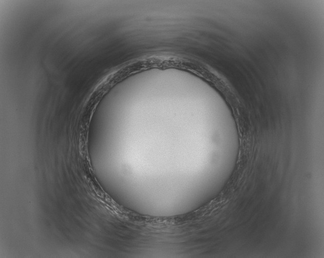 X0000081500823200701121136