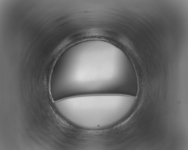 X0000081500825200701121136