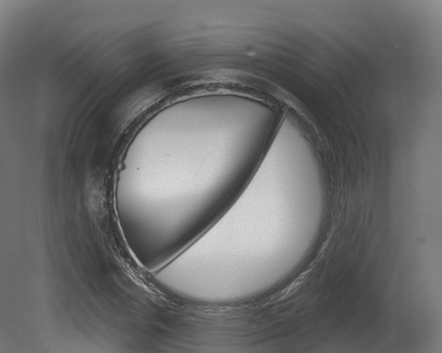 X0000081500826200701121136