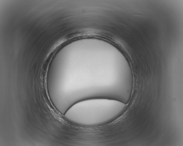 X0000081500827200701121136