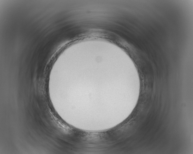 X0000081500828200701121136