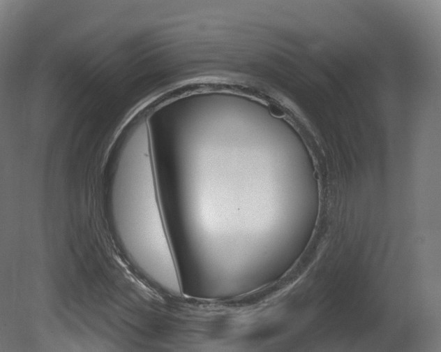 X0000081500829200701121136