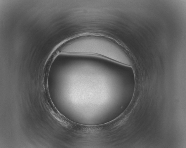 X0000081500830200701121136