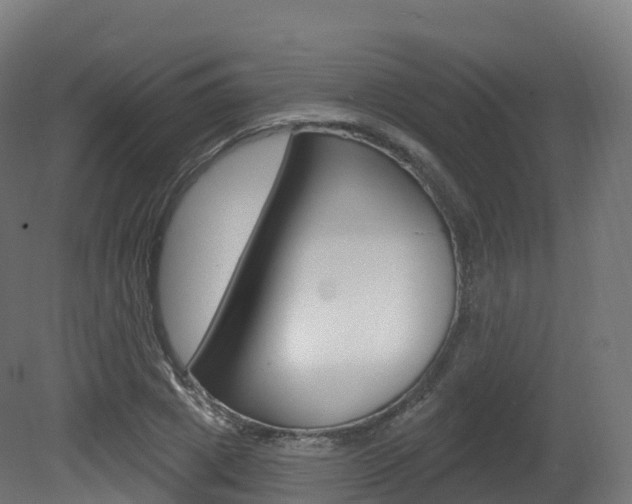 X0000081500833200701121136