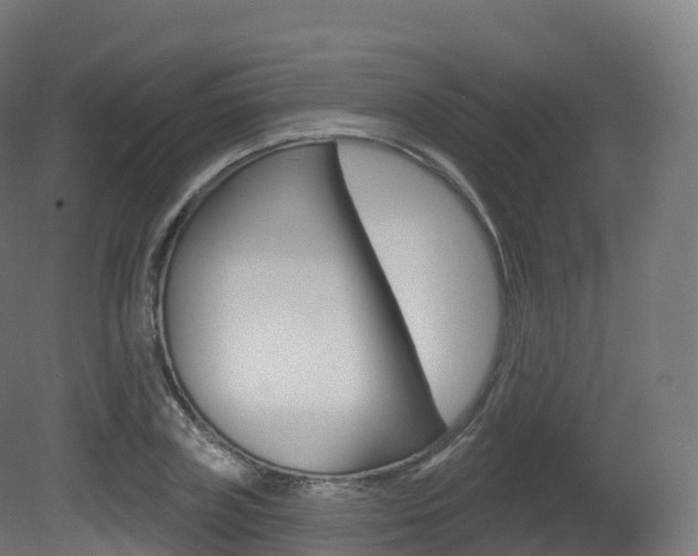 X0000081500835200701121136