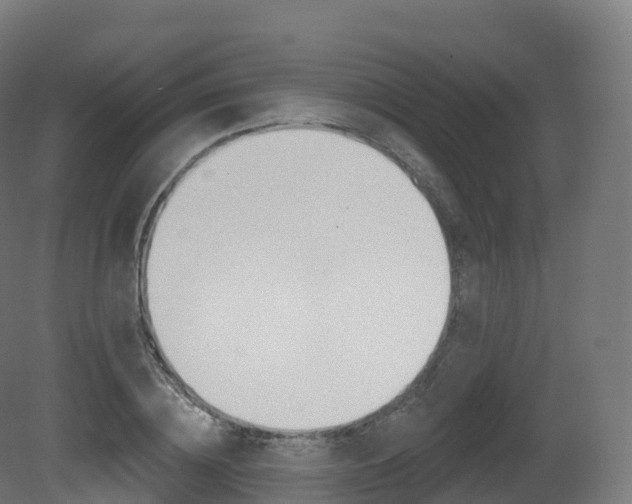 X0000081500836200701121136