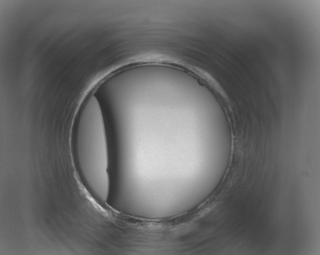 X0000081500839200701121136