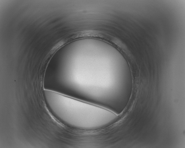 X0000081500841200701121136