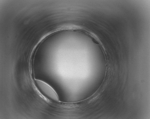 X0000081500843200701121136