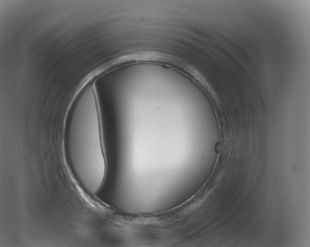 X0000081500845200701121137