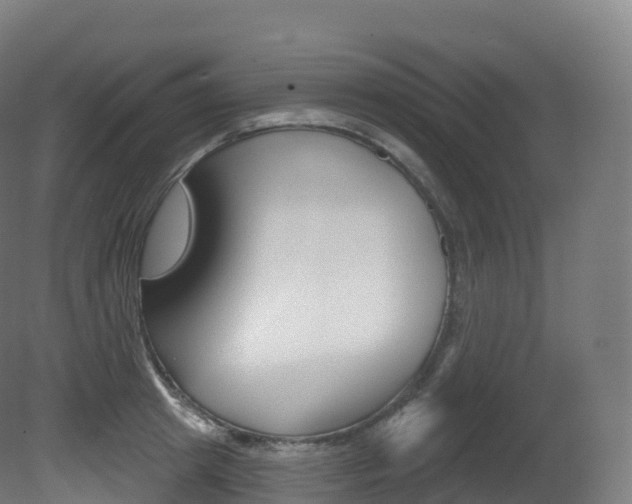 X0000081500849200701121137