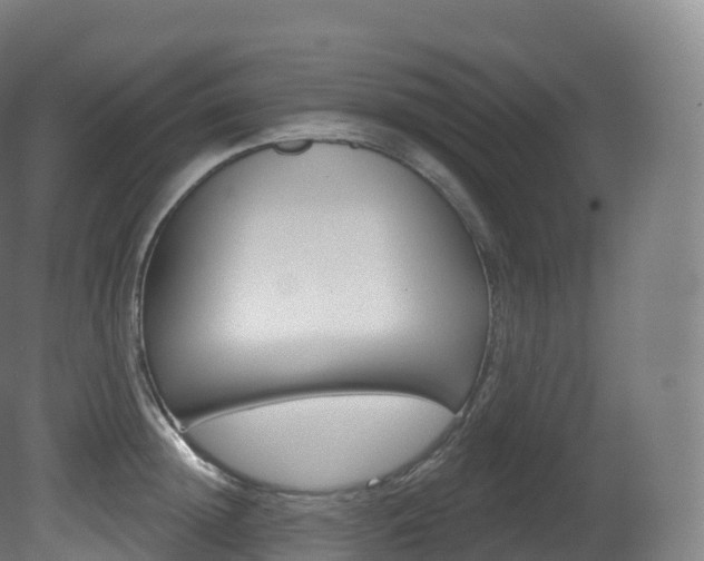 X0000081500852200701121137