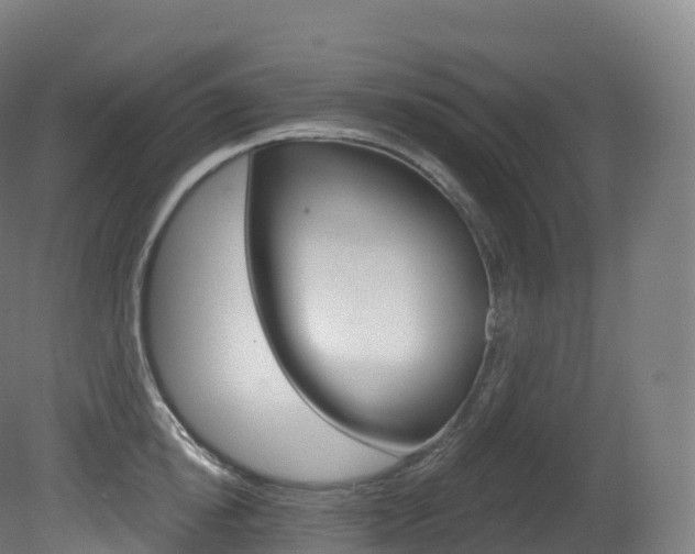 X0000081500854200701121137