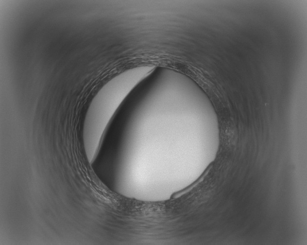 X0000081500865200701121136
