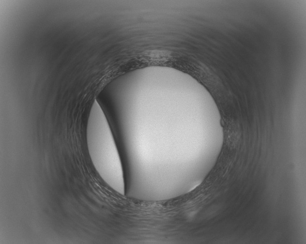 X0000081500866200701121136