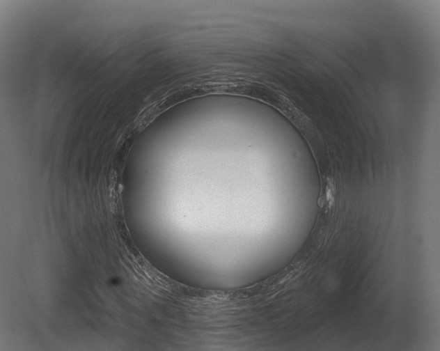 X0000081500867200701121136