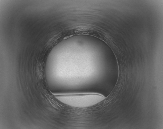 X0000081500868200701121136