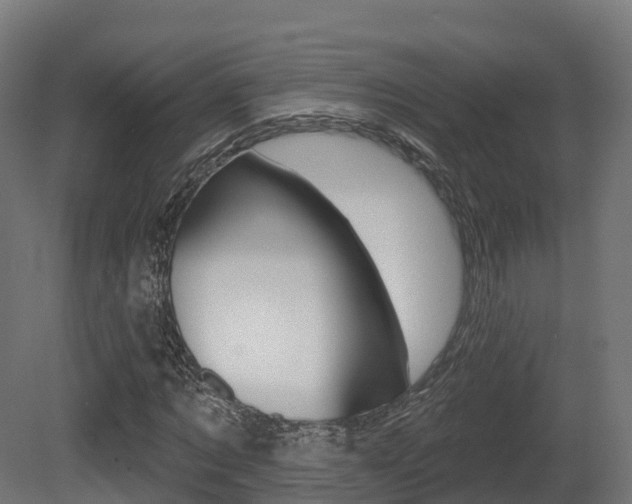 X0000081500869200701121136