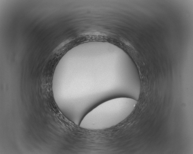 X0000081500870200701121136