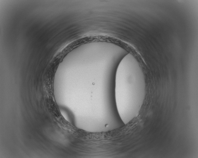 X0000081500871200701121136