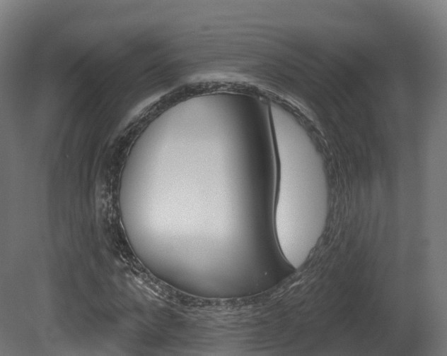 X0000081500872200701121136