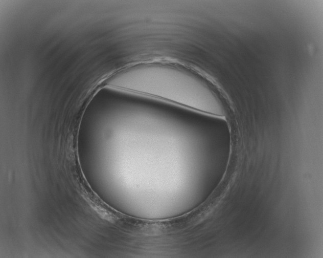 X0000081500881200701121136
