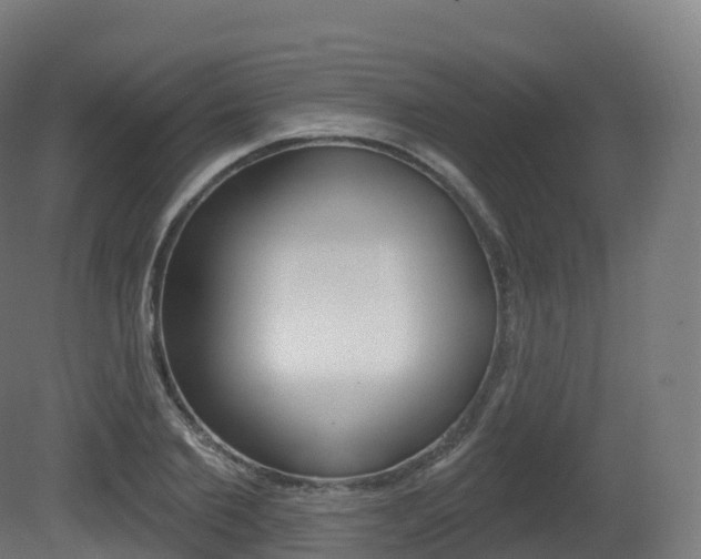 X0000081500885200701121136