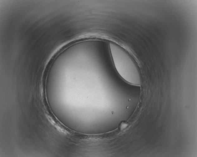X0000081500888200701121136