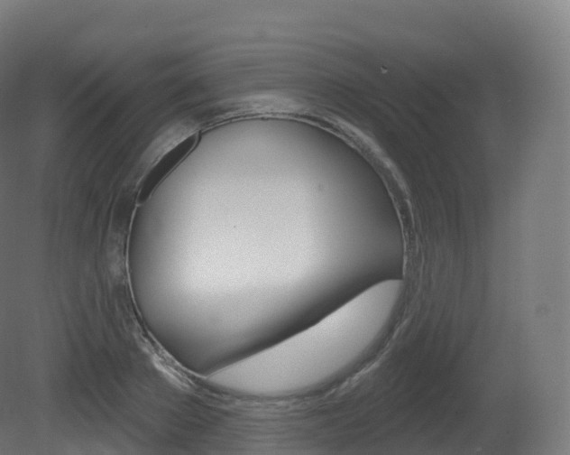 X0000081500889200701121136