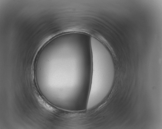 X0000081500892200701121136