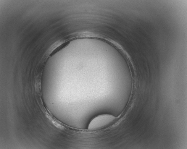 X0000081500897200701121135