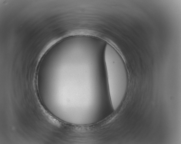 X0000081500901200701121135
