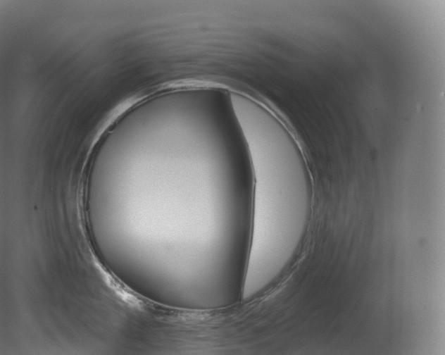 X0000081500909200701121135