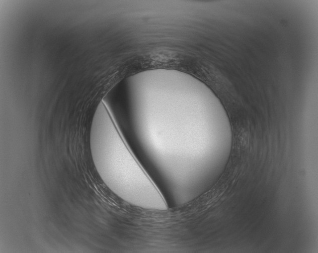 X0000081500914200701121134