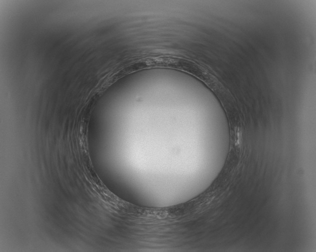 X0000081500915200701121134