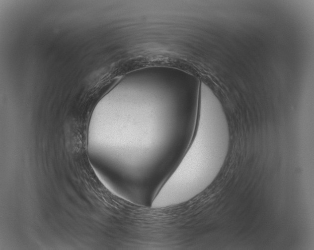 X0000081500916200701121134