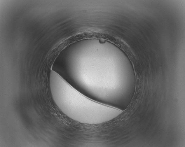 X0000081500919200701121135