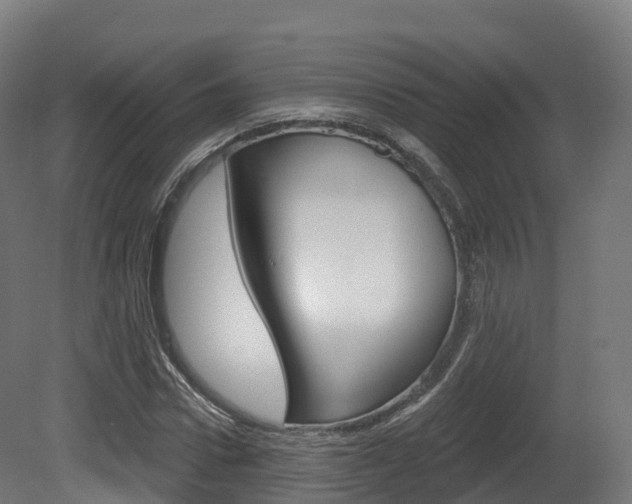 X0000081500922200701121135
