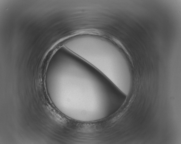 X0000081500923200701121135