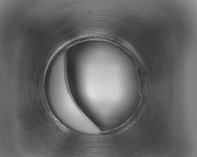 X0000081500924200701121135